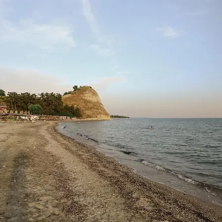Roa Seaside