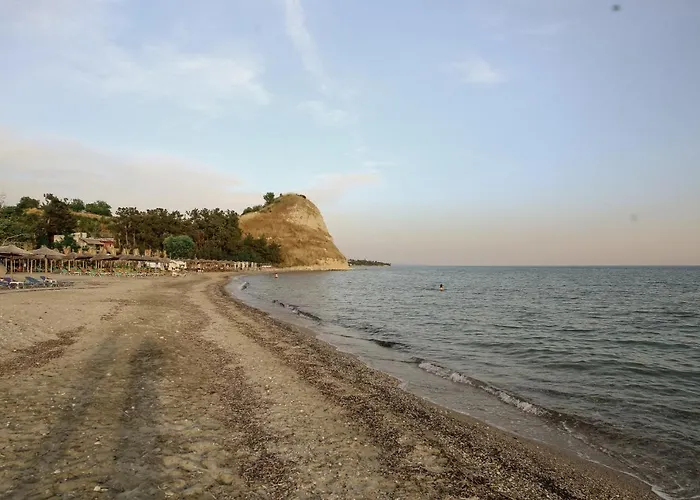 Roa Seaside